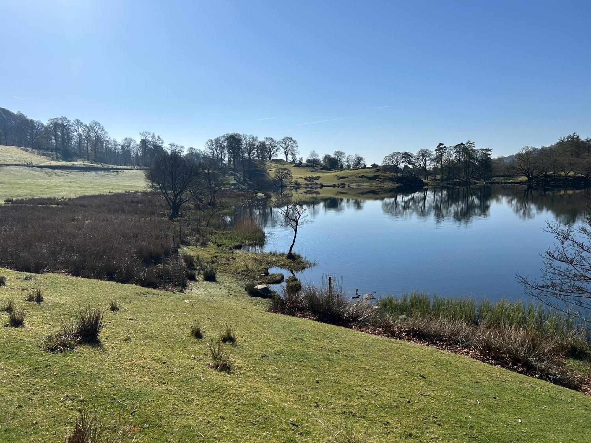 Puddleduck Villa Ambleside Dış mekan fotoğraf